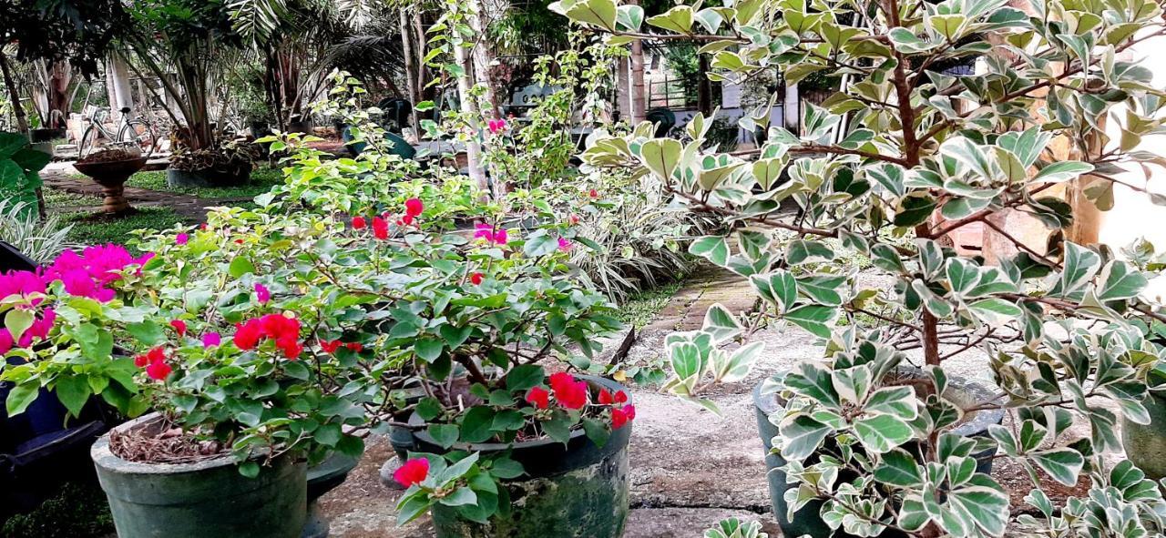 Hiriketiya Cinnamon Garden Dikwella Eksteriør billede
