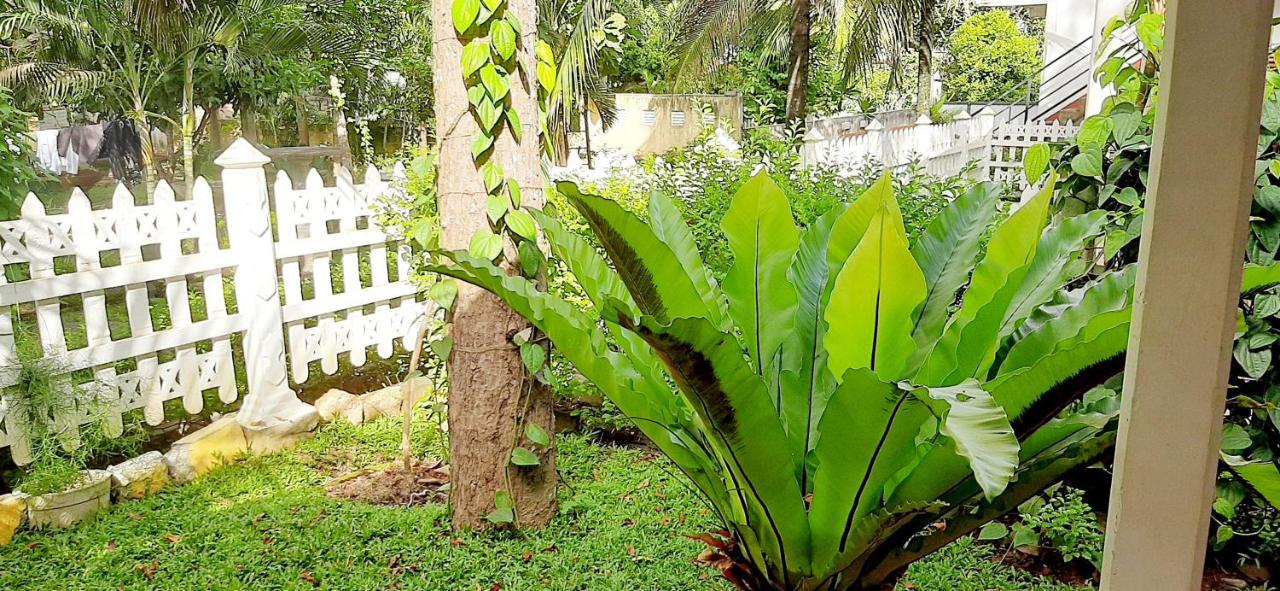 Hiriketiya Cinnamon Garden Dikwella Eksteriør billede