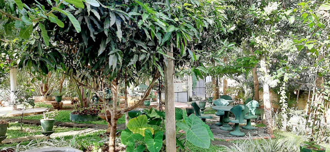 Hiriketiya Cinnamon Garden Dikwella Eksteriør billede