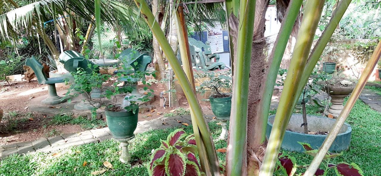Hiriketiya Cinnamon Garden Dikwella Eksteriør billede